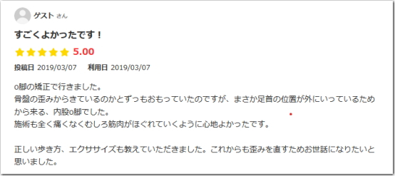 レビュー レビュー